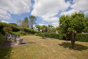 Garden (1)- click for photo gallery